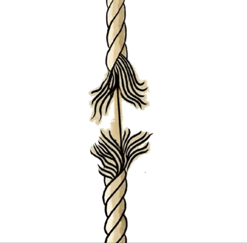 newrope2